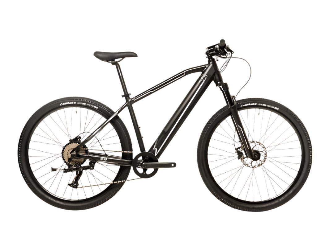 Avalanche Electric Bike MTE - 29er