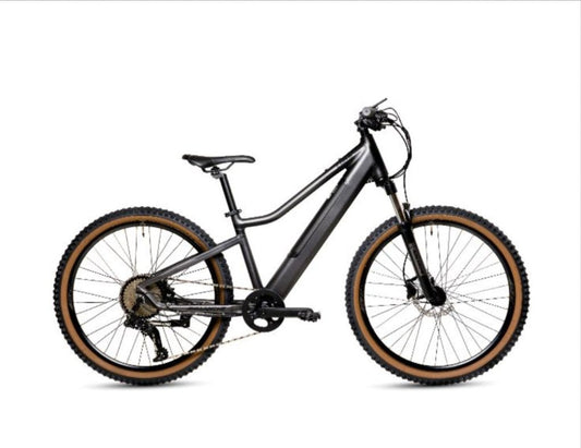 Avalanche Luna-E 26" Electric Bike